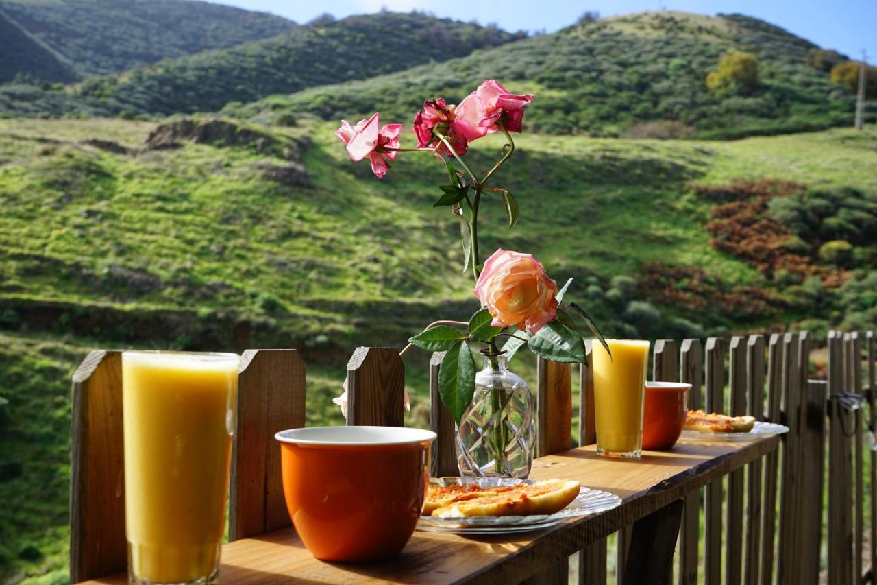 La Casita Hostel Vega de San Mateo Ngoại thất bức ảnh