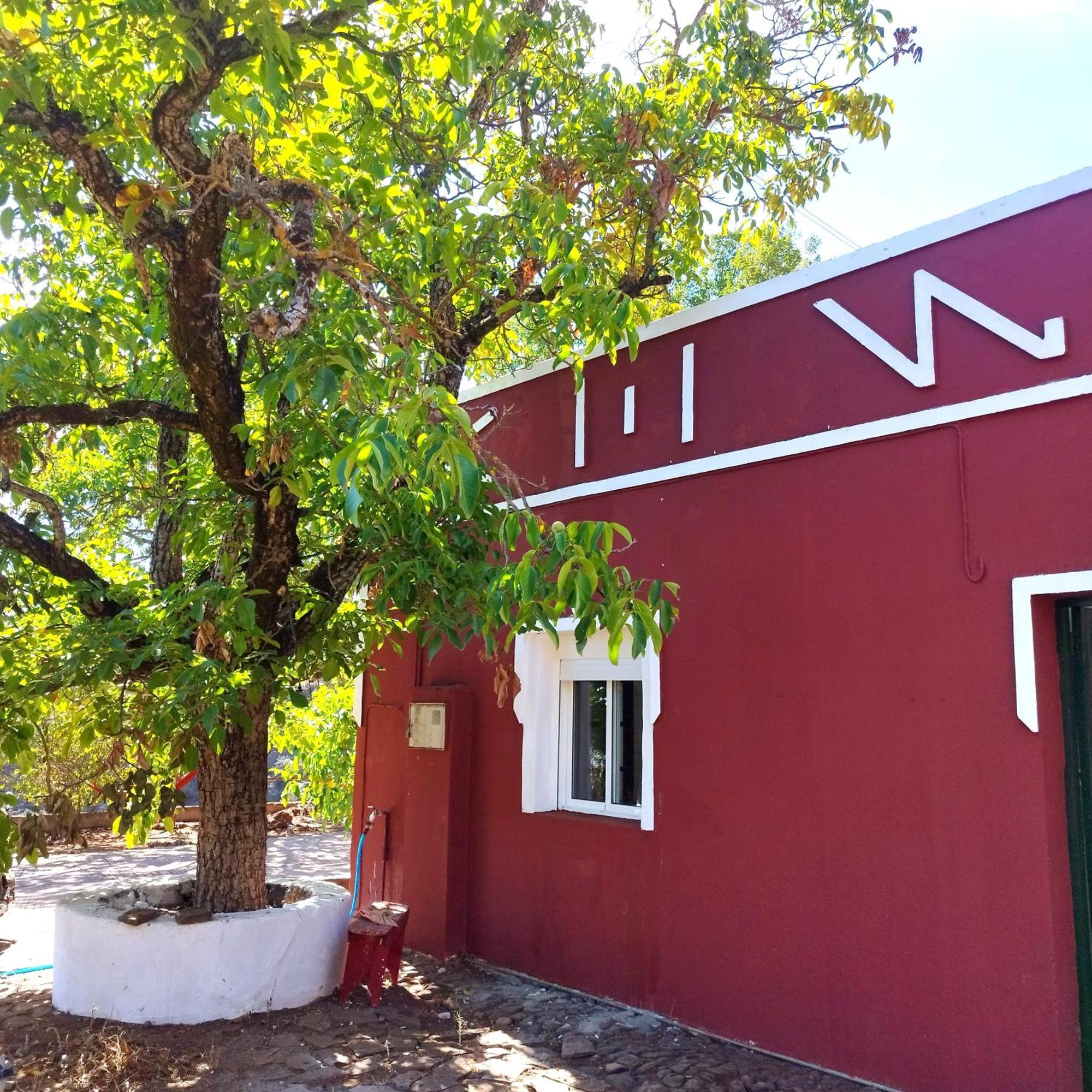 La Casita Hostel Vega de San Mateo Ngoại thất bức ảnh
